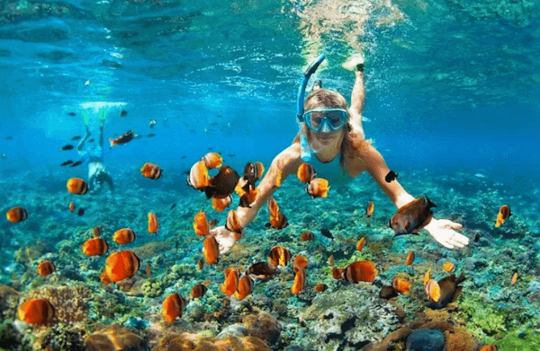 Gili air snorkling