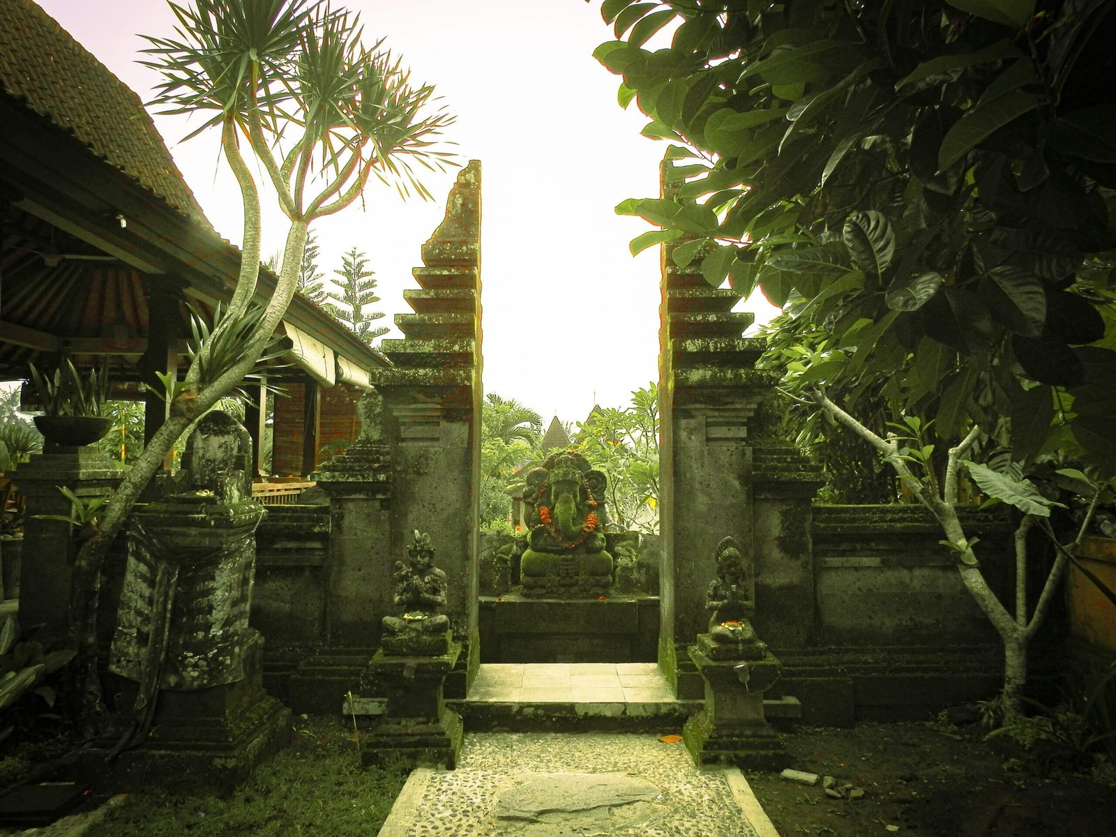 bali travel guide in ubud