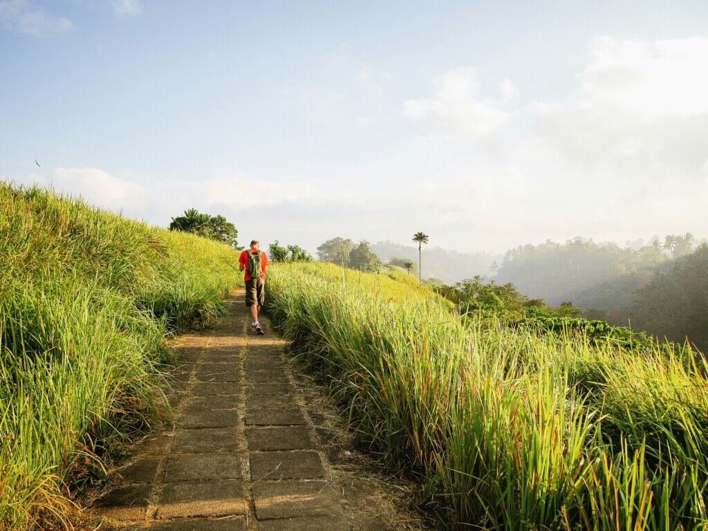 Bali Travel Bukit Campuhan view